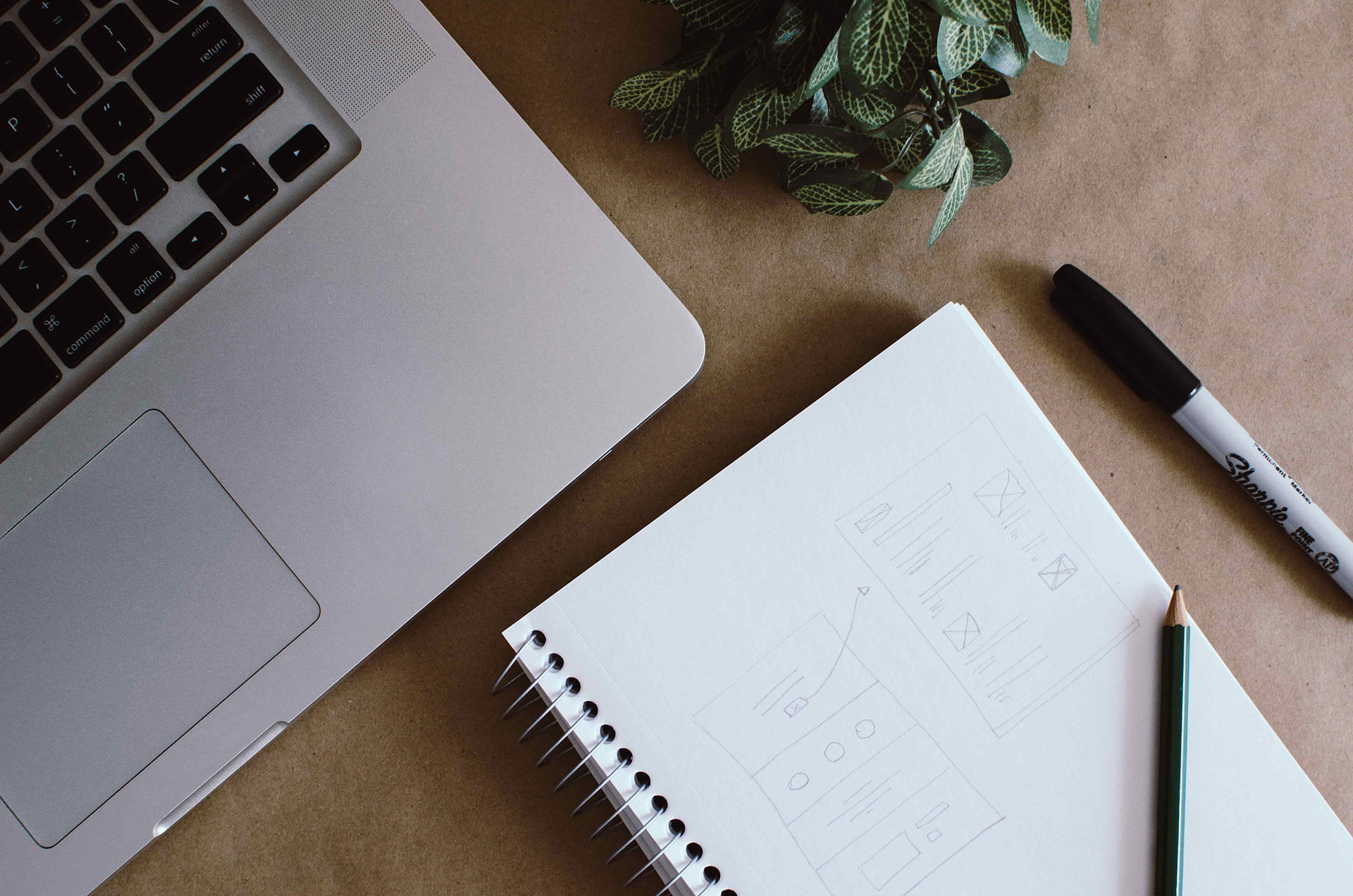Shërbimi-Web Design